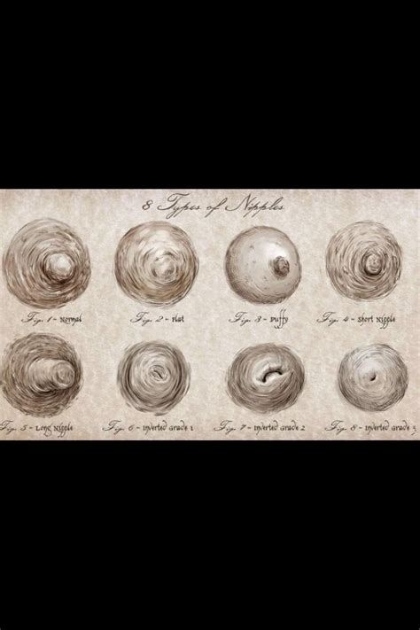 teens boobs|There Are 8 Types of Nipples in the World